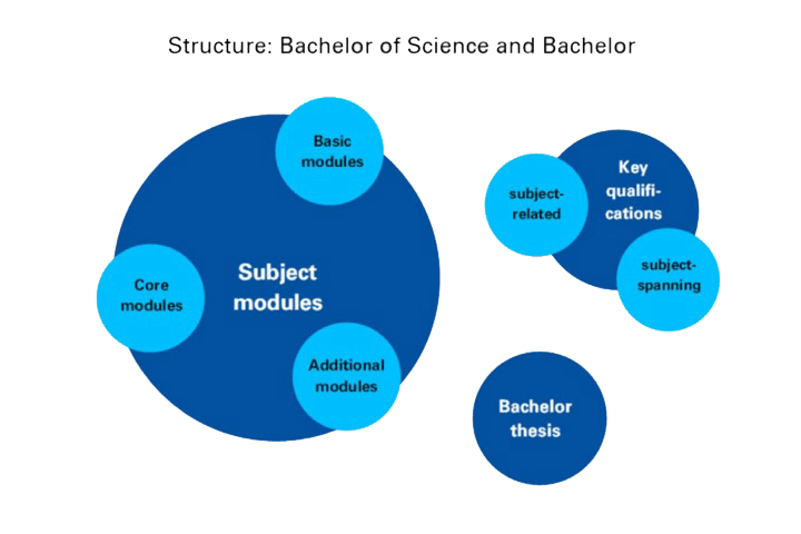 Bachelor's Degree Structure